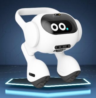 ربات هوشمند دوپا ال جی: مراقب خانه و دوست بازی بچه های شما