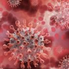 آیا باید از واقعی بودن ویروس مرگبار X نگران باشیم؟