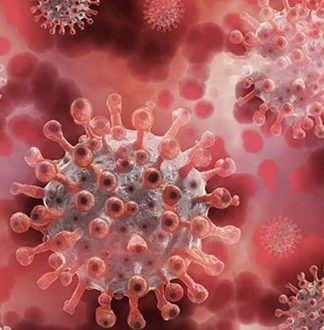 آیا باید از واقعی بودن ویروس مرگبار X نگران باشیم؟
