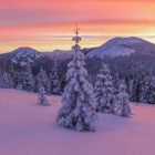 راهنمای عکاسی در زمستان: نکات حیاتی برای عکاسی در روزهای برفی