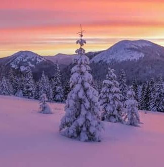 راهنمای عکاسی در زمستان: نکات حیاتی برای عکاسی در روزهای برفی