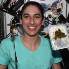 جشنواره ناگهانی فضانورد ایرانی در فضا: آیا می‌پسندید قورمه سبزی؟