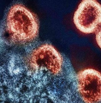 نهایتاً دانشمندان در موفقیت از نابودی ویروس ایدز در بدن بیمار به جایی رسیدند