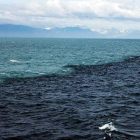 آیا اقیانوس‌های اطلس و آرام واقعا به هم مخلوط نمی‌شوند؟